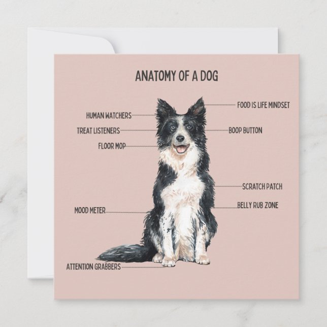 Tarjeta Anatomía de un Perro (Anverso)