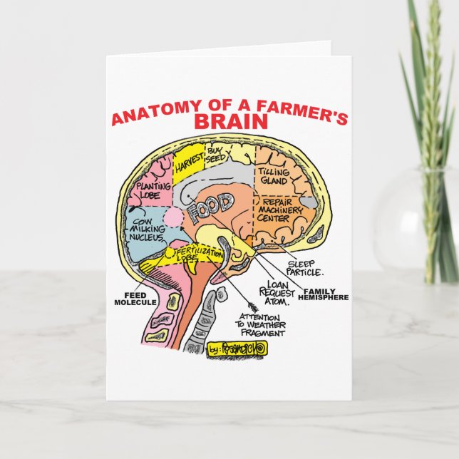 TARJETA ANATOMÍA DEL CEREBRO DE UN AGRICULTOR (Anverso)