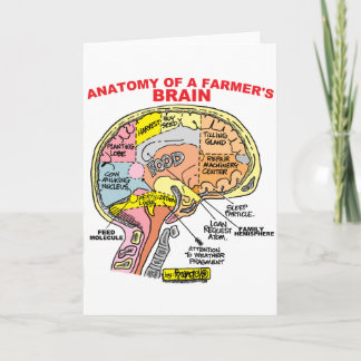 TARJETA ANATOMÍA DEL CEREBRO DE UN AGRICULTOR