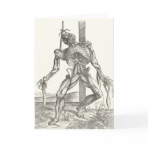 Anatomía esquelética del cadáver del cadáver