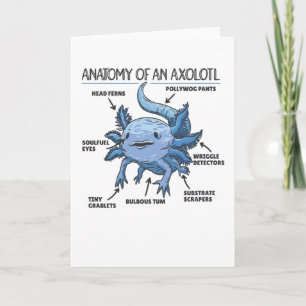 Tarjeta Anatomía Explicativa Axolotl De Un Axolotl