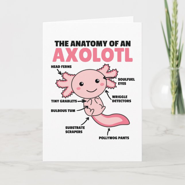 Tarjeta Anatomía Explicativa Axolotl De Un Axolotl (Anverso)