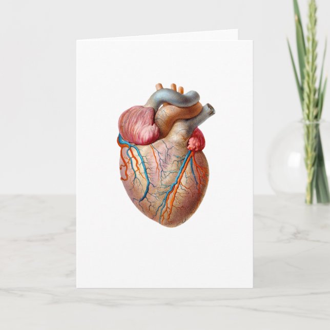 Tarjeta anatómica del día de San Valentín del (Anverso)
