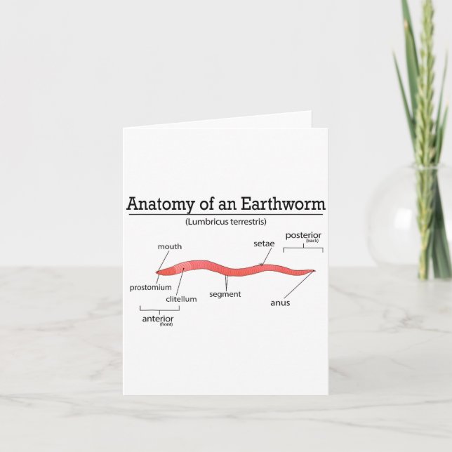 Tarjeta Anatomy Of An Earthworm Funny Worm Earthworm Lover (Anverso)