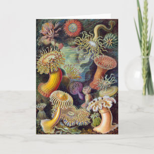 Tarjeta Anémona de mar naturaleza científica océano