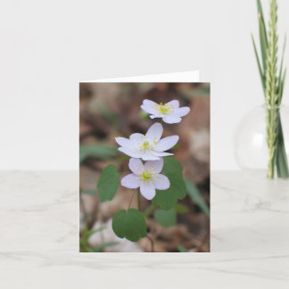 Tarjeta Anémona de ruda Notecard