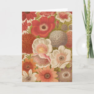 Tarjeta Anemone   George Nicholson