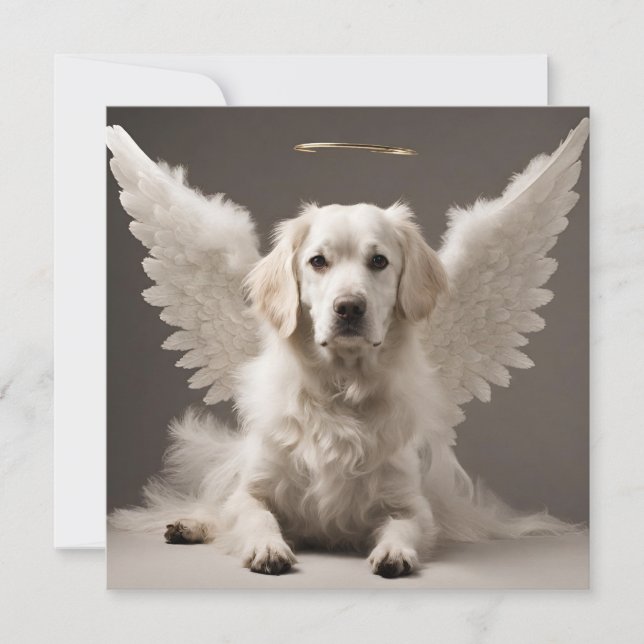 Tarjeta Angel Dog (Anverso)