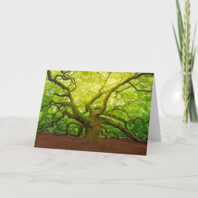 Tarjeta Angel Oak (Anverso)