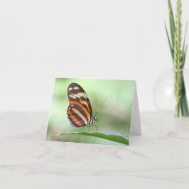 Tarjeta Anillo de tigre