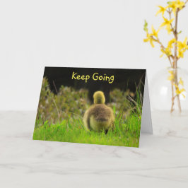 Tarjeta Animación de la Naturaleza de los Aves Bebés