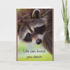 Tarjeta Animación La vida puede derribarte Raccoon Card