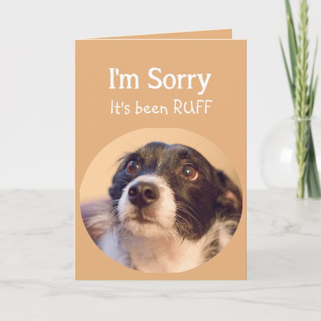 Tarjeta Animación o mejora con un perro triste pero tierno (Anverso)