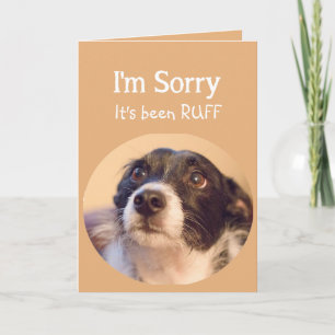 Tarjeta Animación o mejora con un perro triste pero tierno
