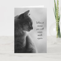 Animación Sentir Mejor Animal De Gato Triste