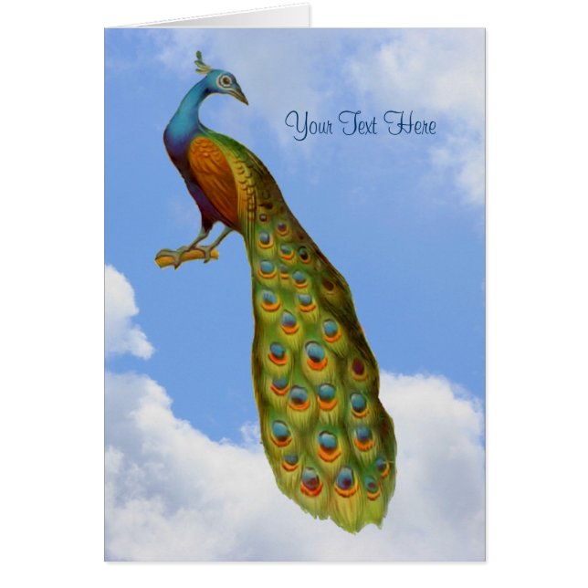 Tarjeta animal de arte del pavo real (Frente)