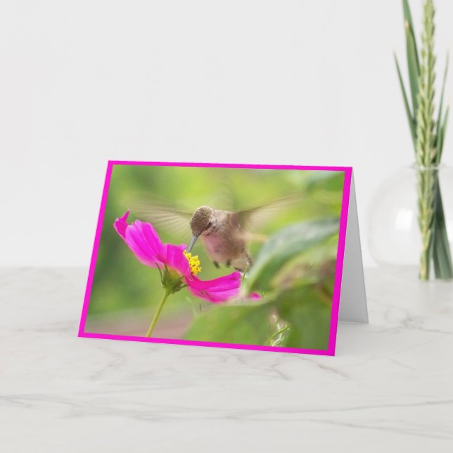 Tarjeta Animal de la fauna del pájaro del colibrí floral (Anverso)