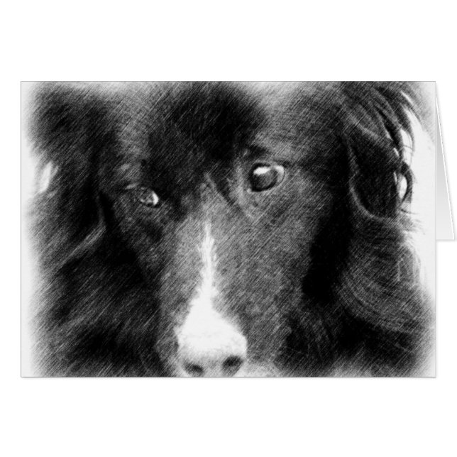 Tarjeta animal del arte del border collie negro (Anverso (Horizontal))