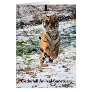 Tarjeta animal del santuario de Cedarhill