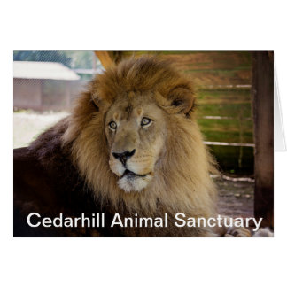 Tarjeta animal del santuario de Cedarhill