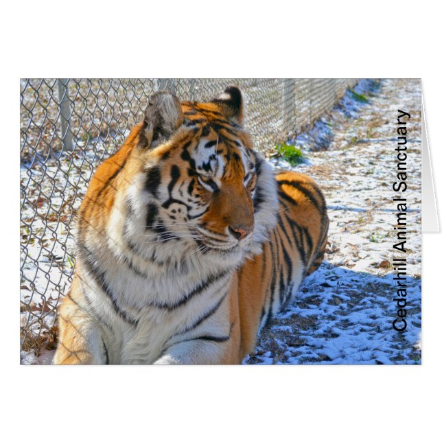 Tarjeta animal del santuario de Cedarhill (Anverso (Horizontal))