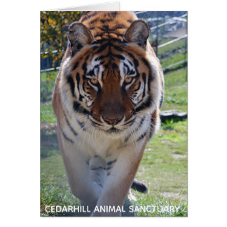 Tarjeta animal del santuario de Cedarhill