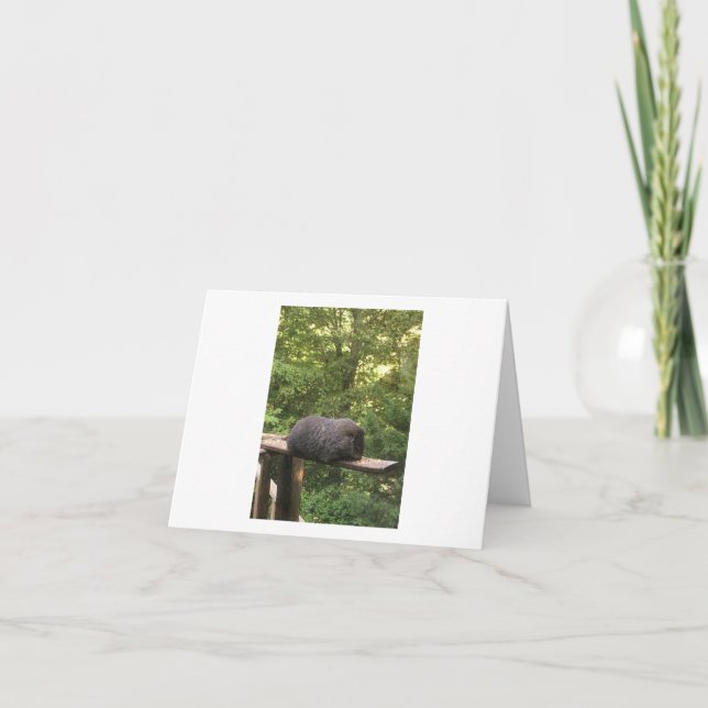 Tarjeta animal linda para alguien que usted cuida (Anverso)