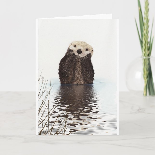 Tarjeta Animales adorables y esponjosos (Anverso)