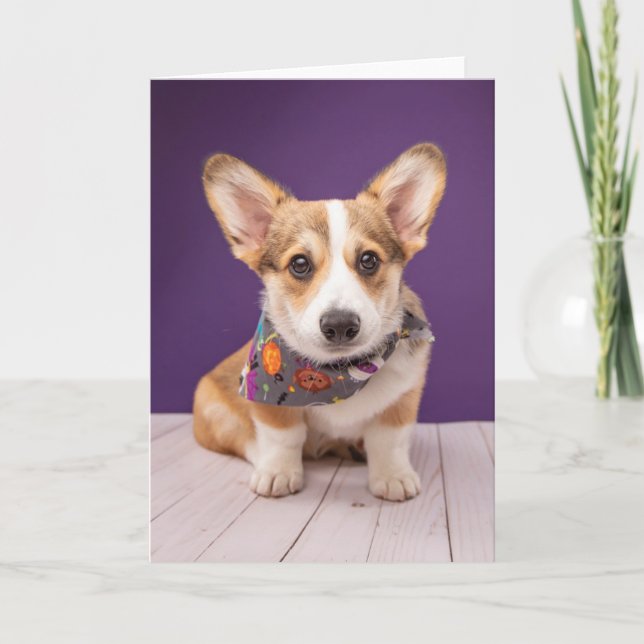 Tarjeta Animales Bebés Más Lindos | Corgi de Halloween (Anverso)