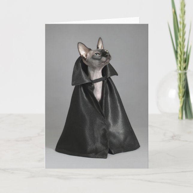 Tarjeta Animales Bebés más Lindos | Gato sin pelo Sphynx (Anverso)