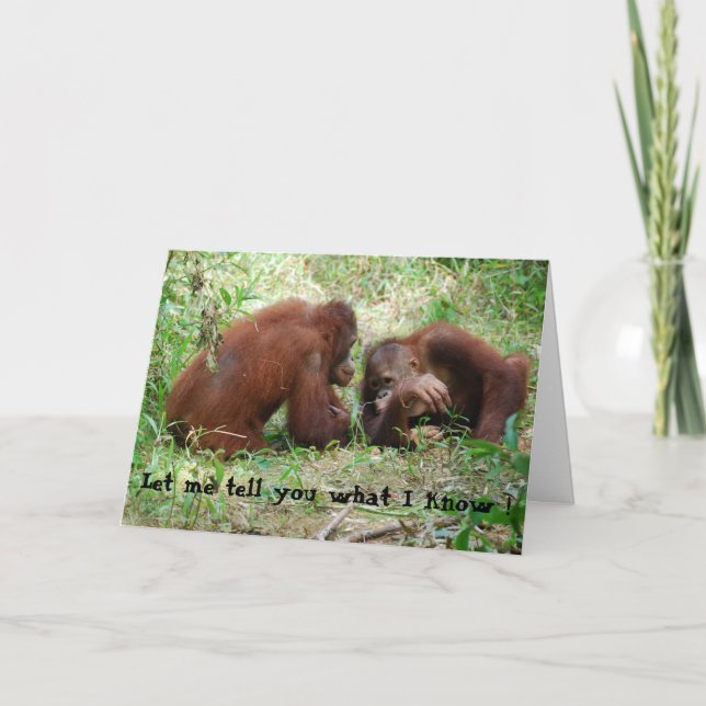 Tarjeta Animales contando secretos cumpleaños #2 (Anverso)