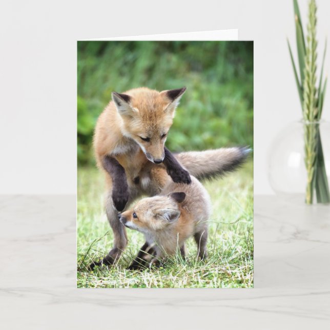Tarjeta Animales de bebé más afectados | Adorable Fox Kit  (Anverso)
