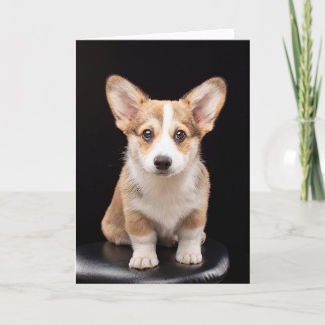 Tarjeta Animales de bebé más afectados | Alto permanente d (Anverso)