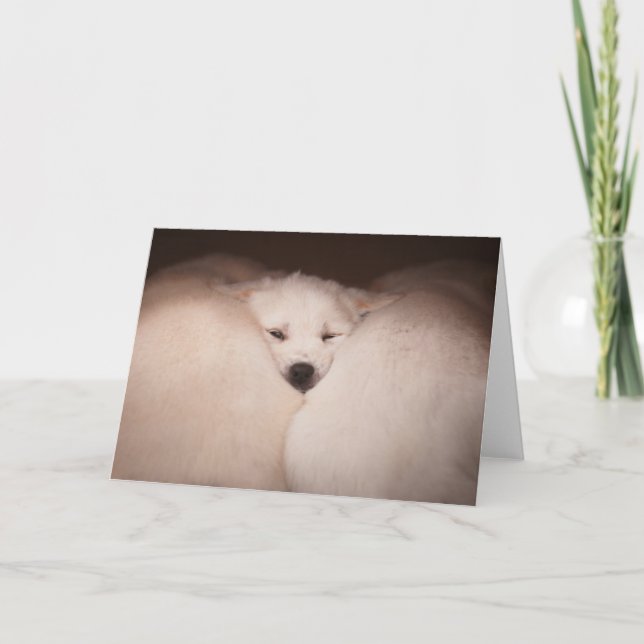 Tarjeta Animales de bebé más afectados | Amortiguador de G (Anverso)