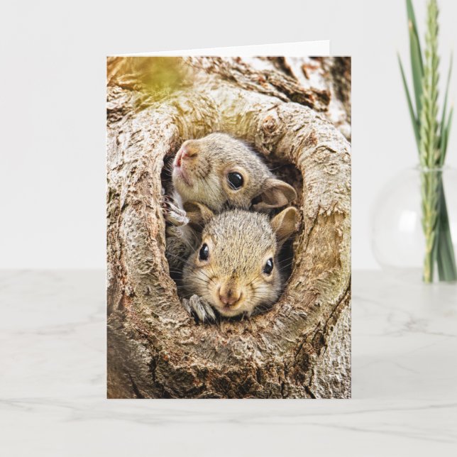 Tarjeta Animales de bebé más afectados | Ardillas de bebé  (Anverso)