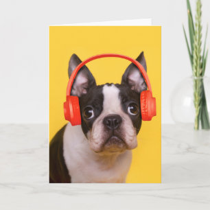 Tarjeta Animales de bebé más afectados   Auriculares de Bo