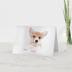 Tarjeta Animales de bebé más afectados Bebé dulce Corgi