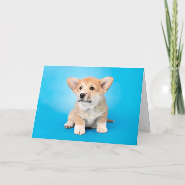 Tarjeta Animales de bebé más afectados | Cachorro de Corgi (Anverso)