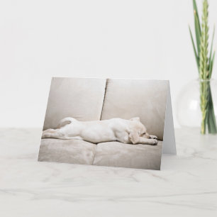 Tarjeta Animales de bebé más afectados Cachorro dorada d