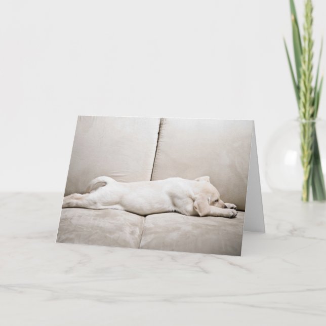 Tarjeta Animales de bebé más afectados | Cachorro dorada d (Anverso)