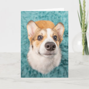 Tarjeta Animales de bebé más afectados Cara dulce Corgi