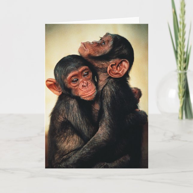 Tarjeta Animales de bebé más afectados | Chimpanzee Hug (Anverso)