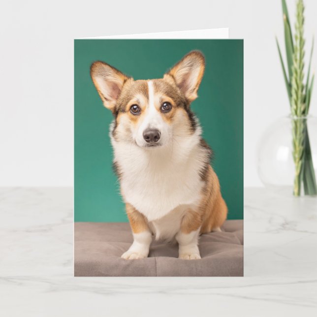 Tarjeta Animales de bebé más afectados | Corgi en Verde az (Anverso)