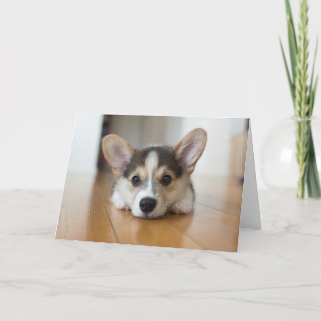 Tarjeta Animales de bebé más afectados | Corgi Puppy (Anverso)