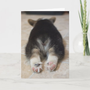 Tarjeta Animales de bebé más afectados   Corgi Puppy Detrá
