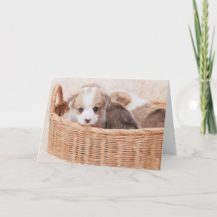 Tarjeta Animales de bebé más afectados Corgi Tiny Puppy