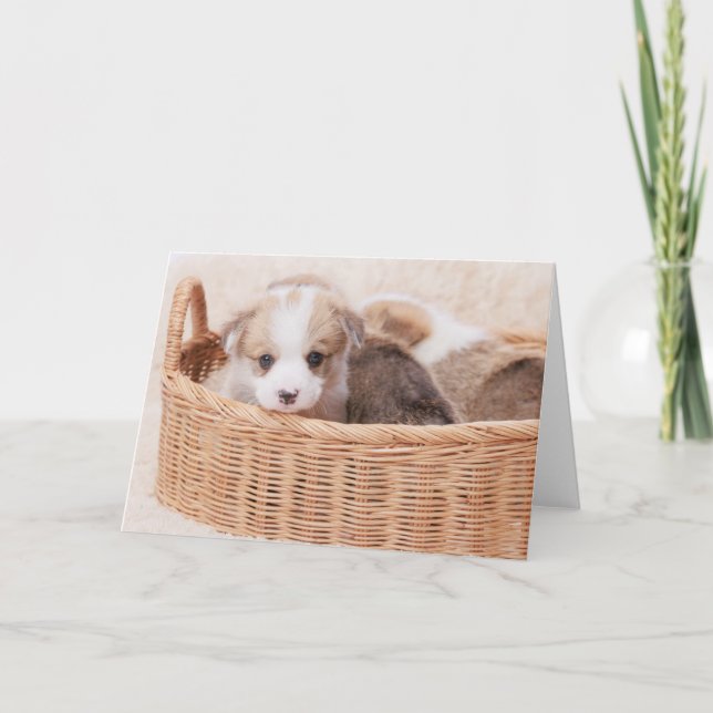 Tarjeta Animales de bebé más afectados | Corgi Tiny Puppy (Anverso)