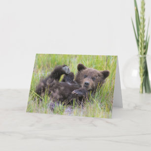 Tarjeta Animales de bebé más afectados   Cubierta de oso m