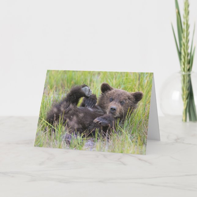 Tarjeta Animales de bebé más afectados | Cubierta de oso m (Anverso)