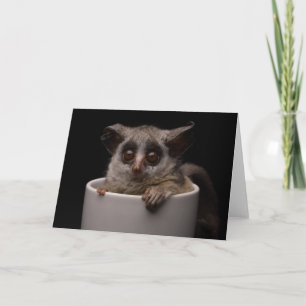 Tarjeta Animales de bebé más afectados Cute Bushbaby